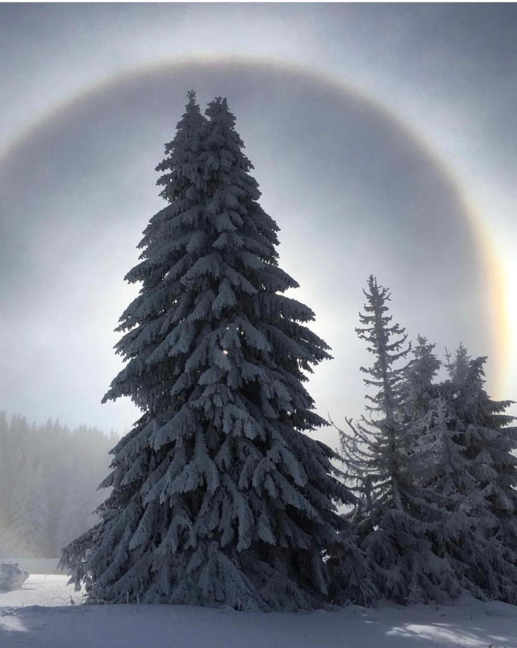 Silver Mountain Milmari Kopaonik Extérieur photo